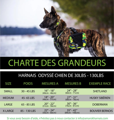 photo de la charte de grandeur pour les harnais Odysée 