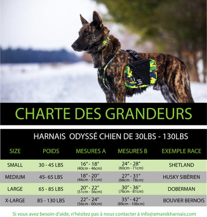 photo de la charte de grandeur pour les harnais Odysée 