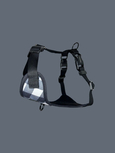 Harnais petit chien - Bûcheron 2.0 Amarok