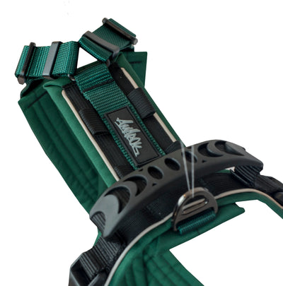 Close-up of the Odyssey harness – reinforced back handle and visible Amarok logo