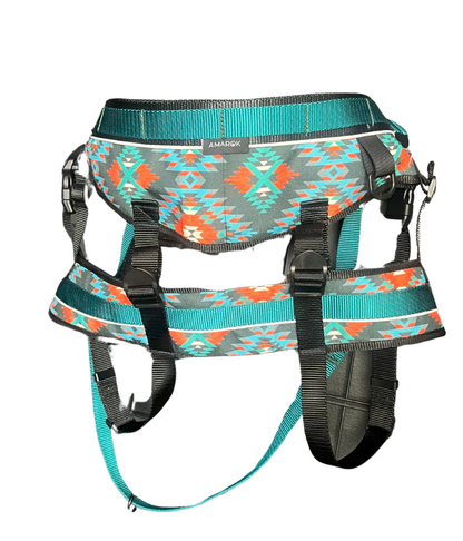 CEINTURE CANICROSS NOMADE