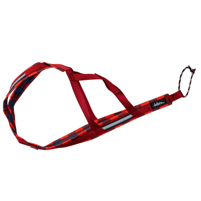 Harnais de traction pour chien canicross de la collection BÛCHERON