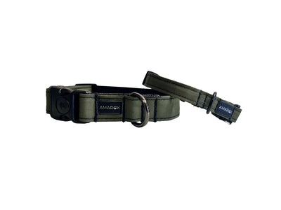 Collier pour chien - Ribera Amarok