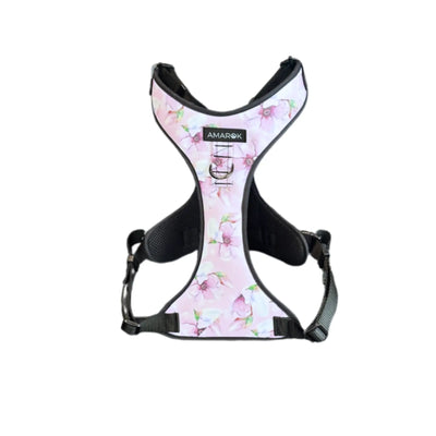 Harnais pour chien - Myosotis Amarok