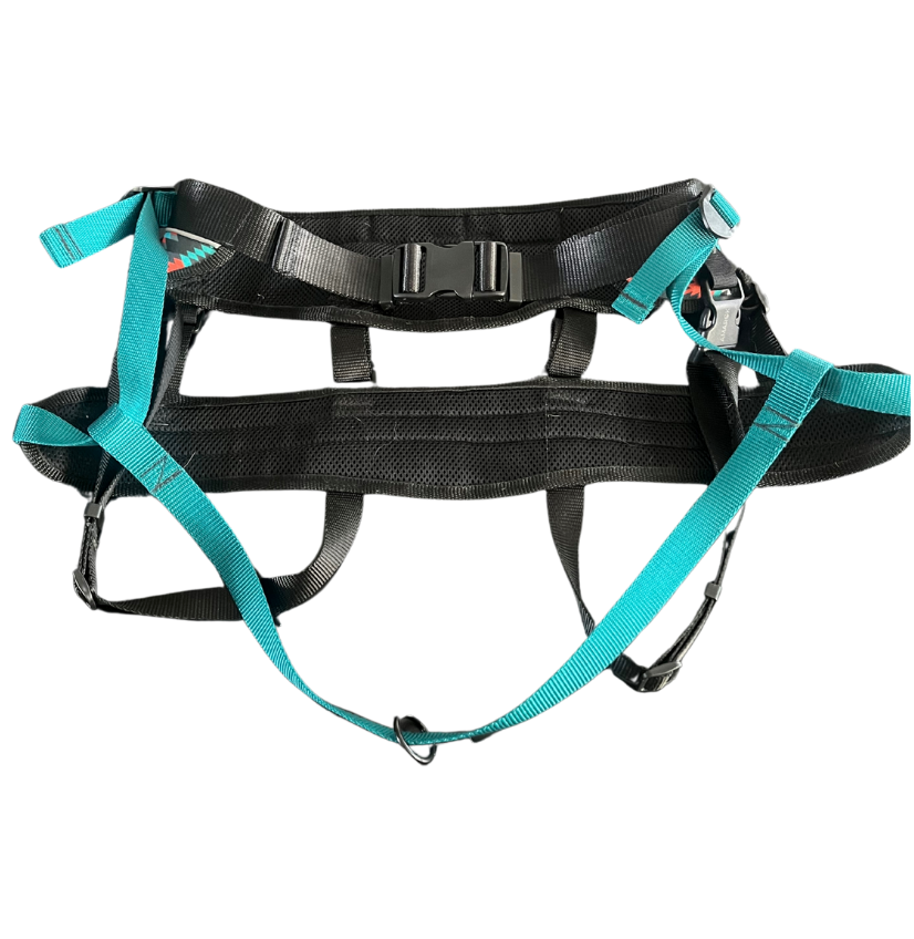 CEINTURE CANICROSS NOMADE