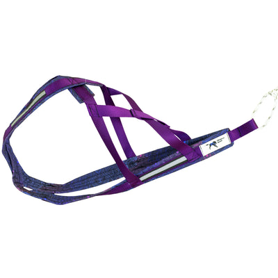 Harnais de traction canicross pour chien de la collection Mandala, vue d'ensemble.