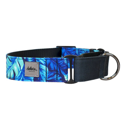 Collier pour chien martingale de la collection HAWAIEN, vue d'ensemble