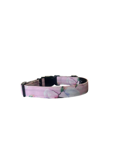 Collier pour chien - Myosotis Amarok