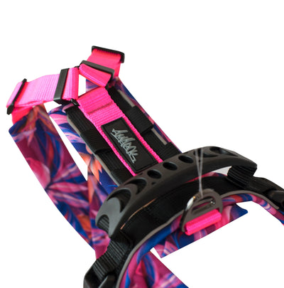 Harnais Odyssé de la collection Hannaé