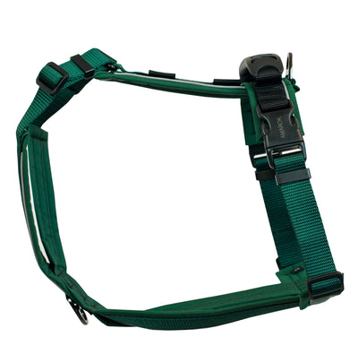 Side view of the Odyssé harness in the Mountaineer collection – Y-shape structure and sturdy buckles