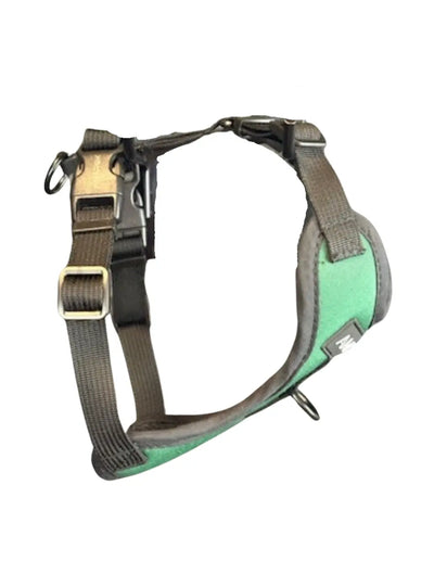 Harnais pour petit chien - Montagnard Amarok