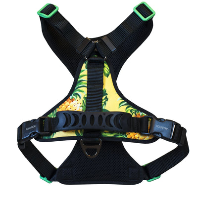 Harnais régulier de marche en tissus pour gros chien AMAROK de la collection PINA COLADA vue de dos