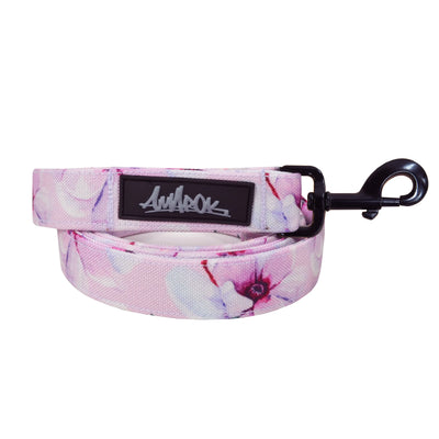 Laisse pour chien modèle MYOSOTIS 