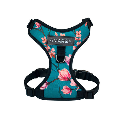 Harnais petit chien Osaka Amarok