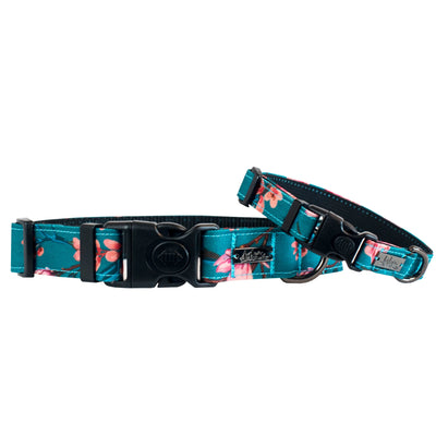 Collier régulier pour petit et gros chiens en tissus souple de la collection Osaka