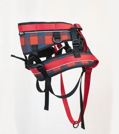 Ceinture de traction canicross de la collection Bûcheron. Aux couleur rouge et noir, vue de côté. 