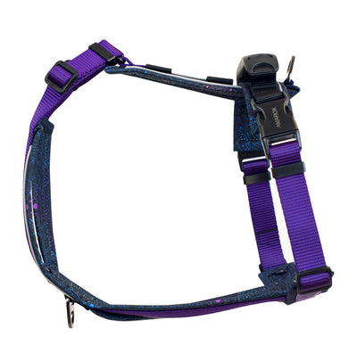 Side view of the Odyssey dog harness in the mandala collection– Y-shape structure and sturdy buckles