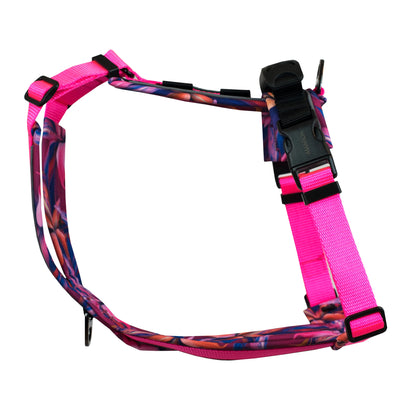 Harnais Odyssé de la collection Hannaé