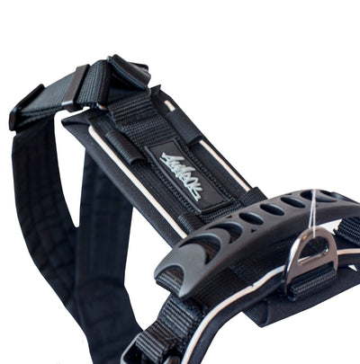 Close-up of the Amarok Odyssey harness – reinforced back handle and visible backpack attachment points