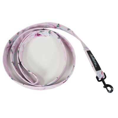 Laisse pour chien modèle MYOSOTIS 