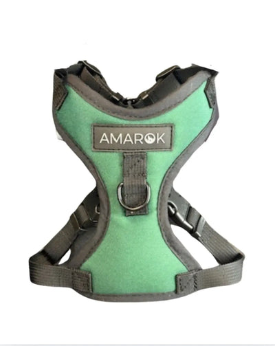 Harnais pour petit chien - Montagnard Amarok