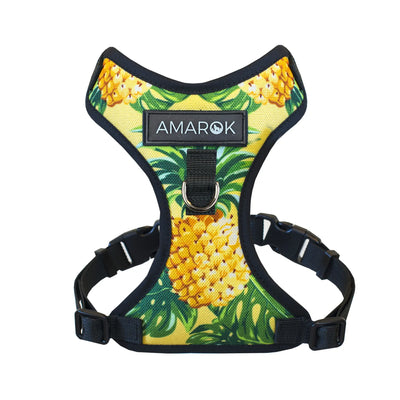 Harnais petit chien - Pina Colada Amarok