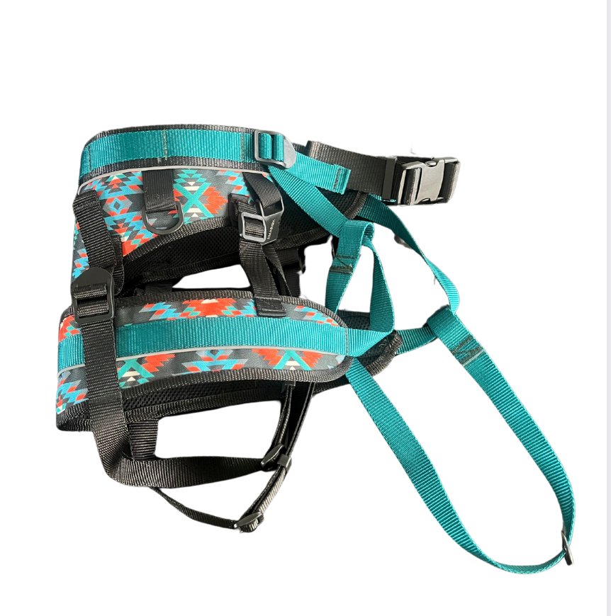 CEINTURE CANICROSS NOMADE