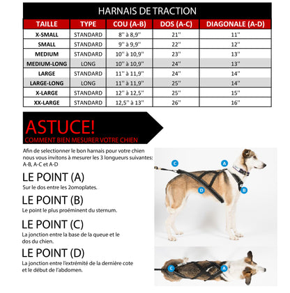 Charte de grandeur pour les harnais de traction canicross pour chien. 