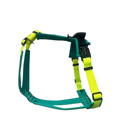 Harnais pour chien Odyssé Banff Amarok