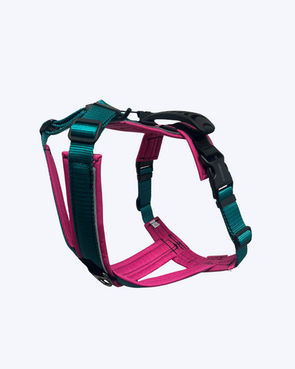Harnais pour chien Odyssé Harmonie