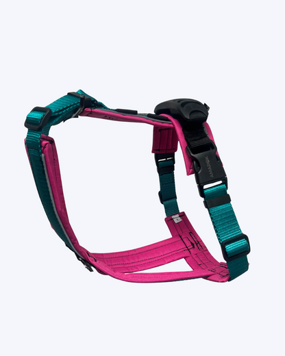 Harnais pour chien Odyssé Harmonie